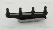 Zündspule TRISCAN 8860 67001