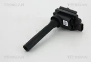 Zündspule TRISCAN 8860 69012