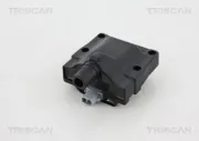 Zündspule TRISCAN 8860 69013
