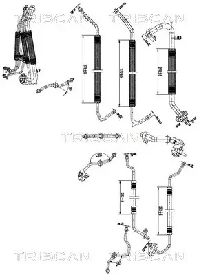 Hochdruck-/Niederdruckleitung, Klimaanlage TRISCAN 9010 81011