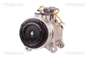 Kompressor, Klimaanlage TRISCAN 9020 11001