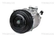 Kompressor, Klimaanlage TRISCAN 9020 11002