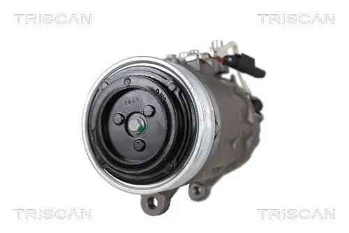 Kompressor, Klimaanlage TRISCAN 9020 11004