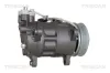 Kompressor, Klimaanlage TRISCAN 9020 11004 Bild Kompressor, Klimaanlage TRISCAN 9020 11004