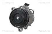 Kompressor, Klimaanlage TRISCAN 9020 11010