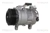 Kompressor, Klimaanlage TRISCAN 9020 11010 Bild Kompressor, Klimaanlage TRISCAN 9020 11010