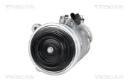 Kompressor, Klimaanlage TRISCAN 9020 11011