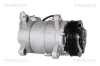 Kompressor, Klimaanlage TRISCAN 9020 11018 Bild Kompressor, Klimaanlage TRISCAN 9020 11018