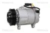 Kompressor, Klimaanlage TRISCAN 9020 11021 Bild Kompressor, Klimaanlage TRISCAN 9020 11021