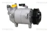 Kompressor, Klimaanlage TRISCAN 9020 11021 Bild Kompressor, Klimaanlage TRISCAN 9020 11021