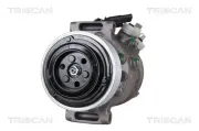 Kompressor, Klimaanlage TRISCAN 9020 11022