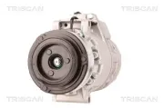 Kompressor, Klimaanlage TRISCAN 9020 11024
