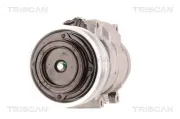 Kompressor, Klimaanlage TRISCAN 9020 13002