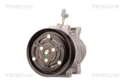 Kompressor, Klimaanlage TRISCAN 9020 13014