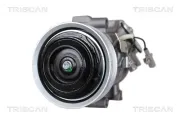 Kompressor, Klimaanlage TRISCAN 9020 13015