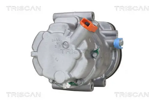 Kompressor, Klimaanlage TRISCAN 9020 13028