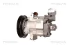 Kompressor, Klimaanlage TRISCAN 9020 14005 Bild Kompressor, Klimaanlage TRISCAN 9020 14005