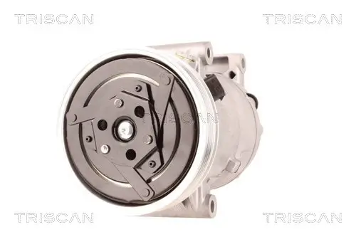 Kompressor, Klimaanlage TRISCAN 9020 14012