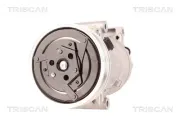 Kompressor, Klimaanlage TRISCAN 9020 14012