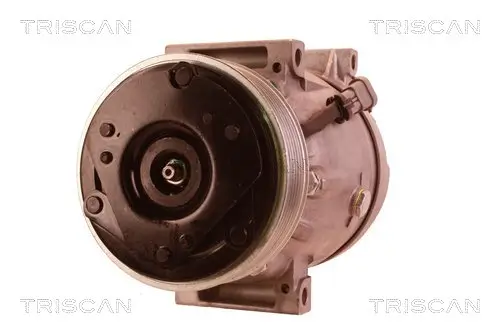 Kompressor, Klimaanlage TRISCAN 9020 14022