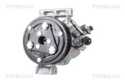 Kompressor, Klimaanlage TRISCAN 9020 14023