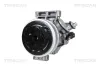Kompressor, Klimaanlage TRISCAN 9020 14027