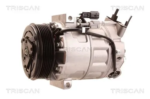 Kompressor, Klimaanlage TRISCAN 9020 14029 Bild Kompressor, Klimaanlage TRISCAN 9020 14029