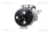 Kompressor, Klimaanlage TRISCAN 9020 14030 Bild Kompressor, Klimaanlage TRISCAN 9020 14030