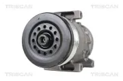 Kompressor, Klimaanlage TRISCAN 9020 15004