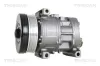 Kompressor, Klimaanlage TRISCAN 9020 15004 Bild Kompressor, Klimaanlage TRISCAN 9020 15004