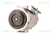 Kompressor, Klimaanlage TRISCAN 9020 15009
