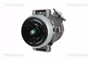 Kompressor, Klimaanlage TRISCAN 9020 15014