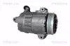 Kompressor, Klimaanlage TRISCAN 9020 15014 Bild Kompressor, Klimaanlage TRISCAN 9020 15014