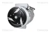 Kompressor, Klimaanlage TRISCAN 9020 15015