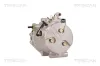 Kompressor, Klimaanlage TRISCAN 9020 15016 Bild Kompressor, Klimaanlage TRISCAN 9020 15016