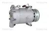 Kompressor, Klimaanlage TRISCAN 9020 16002 Bild Kompressor, Klimaanlage TRISCAN 9020 16002