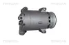 Kompressor, Klimaanlage TRISCAN 9020 16008 Bild Kompressor, Klimaanlage TRISCAN 9020 16008