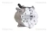 Kompressor, Klimaanlage TRISCAN 9020 16010 Bild Kompressor, Klimaanlage TRISCAN 9020 16010
