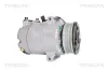 Kompressor, Klimaanlage TRISCAN 9020 16010 Bild Kompressor, Klimaanlage TRISCAN 9020 16010
