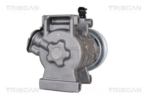 Kompressor, Klimaanlage TRISCAN 9020 16048 Bild Kompressor, Klimaanlage TRISCAN 9020 16048