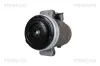 Kompressor, Klimaanlage TRISCAN 9020 23001