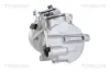 Kompressor, Klimaanlage TRISCAN 9020 23020 Bild Kompressor, Klimaanlage TRISCAN 9020 23020