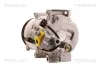 Kompressor, Klimaanlage TRISCAN 9020 23039 Bild Kompressor, Klimaanlage TRISCAN 9020 23039