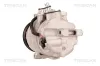 Kompressor, Klimaanlage TRISCAN 9020 23040 Bild Kompressor, Klimaanlage TRISCAN 9020 23040