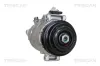 Kompressor, Klimaanlage TRISCAN 9020 23042 Bild Kompressor, Klimaanlage TRISCAN 9020 23042