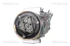 Kompressor, Klimaanlage TRISCAN 9020 23045