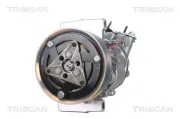 Kompressor, Klimaanlage TRISCAN 9020 23045