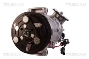 Kompressor, Klimaanlage TRISCAN 9020 24017