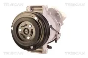 Kompressor, Klimaanlage TRISCAN 9020 24018