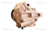 Kompressor, Klimaanlage TRISCAN 9020 24018 Bild Kompressor, Klimaanlage TRISCAN 9020 24018